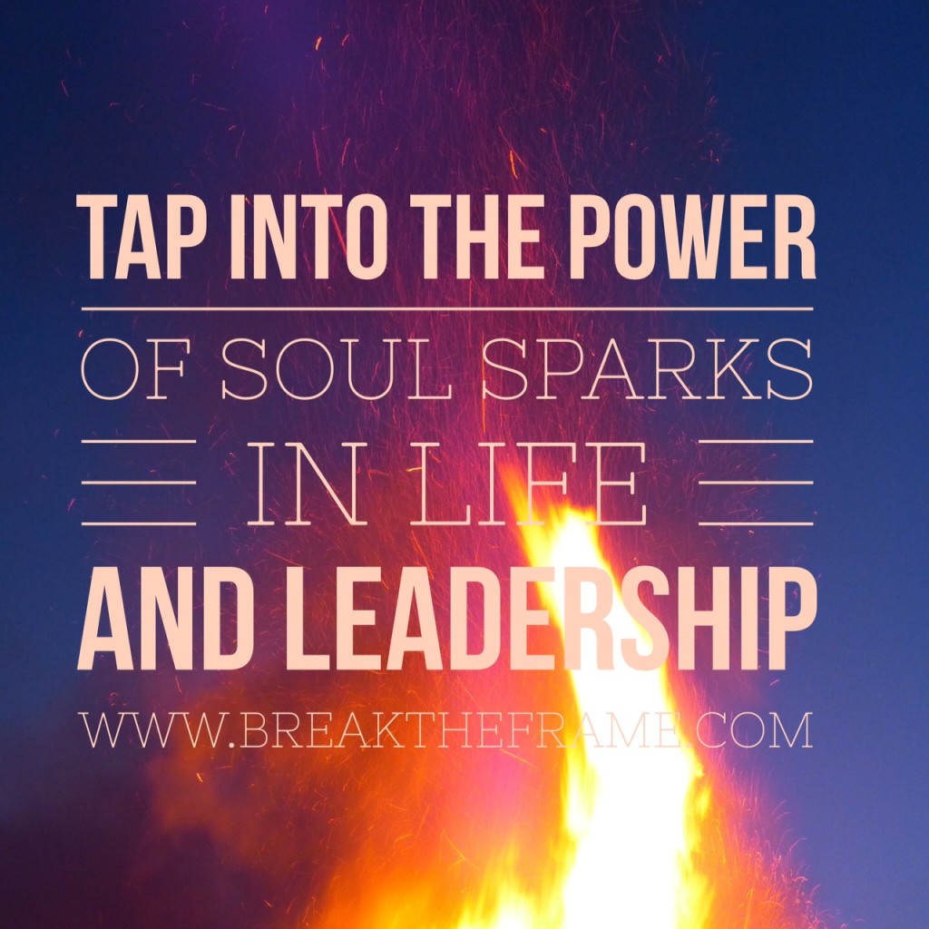 Soul Sparks Activate Leadership