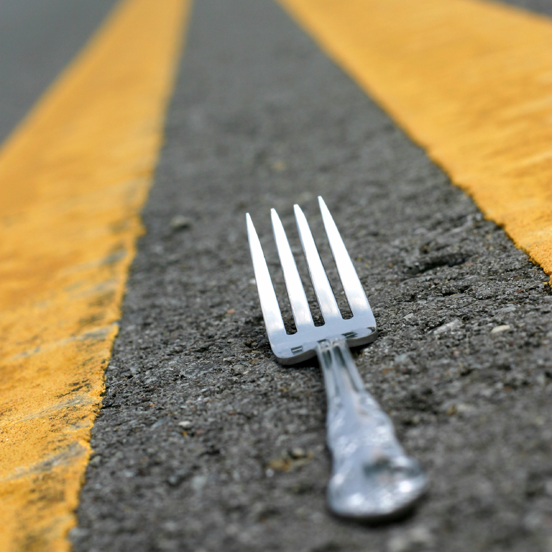 fork in the road to Your Next Step - Alli Polin | Break The Frame