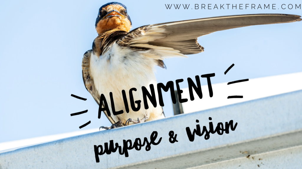 alignment of purpose and vision