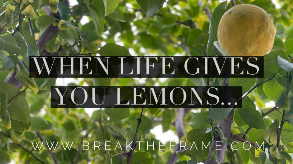 When Life Gives You Lemons It's Time To Get Creative